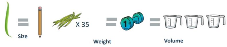 One green bean equals one pencil in size. 35 green beans equal a one pound weight equals three cups in volume.