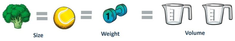 One head of broccoli equals a yellow tennis ball in size equals a one pound weight equals two cups in volume