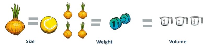 One onion equals the size of one tennis ball. Four onions equal a one pound weight, which equals three cups in volume.