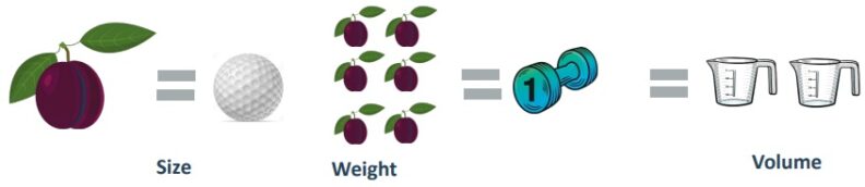One plum equals the size of a gold ball. Six plums equal a one-pound weight, which equals two cups in volume. 