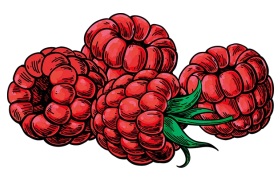 4 Raspberries Skagit Food Preservation: Raspberries | Skagit County | Washington ...