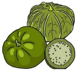 Drawing of a green tomatillo wrapped in a papery husk, an unwrapped tomatillo, and a half of a tomatillo.