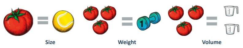 One tomato equals the size of a tennis ball. Three tomatoes equal a one pound weight, which equals two cups in volume.
