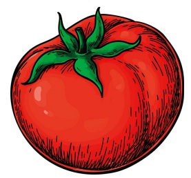 Drawing of a large red tomato with a short green stem and five leaves