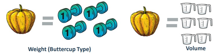 One medium sized, Buttercup type winter squash equals four 1-pound weights, which equal six cups in volume.