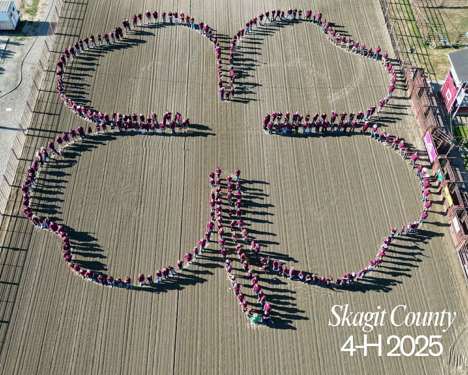 Skagit County Fair 4-H Aerial Photo