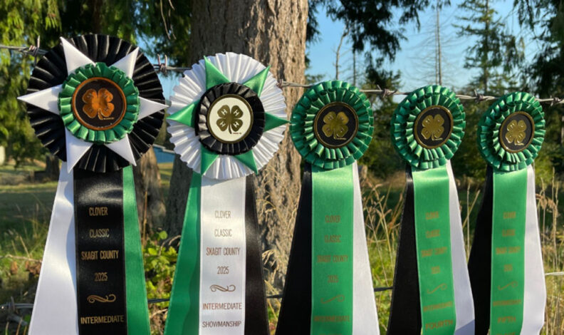 4-H awards displayed on barbed wire fence