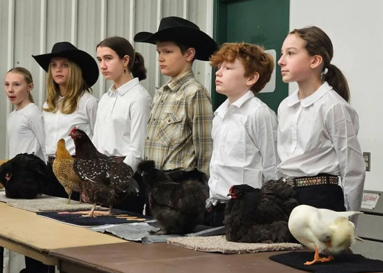 Skagit Boots and Buckels at the Cascade Spring Show with poultry projects