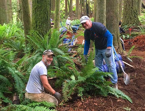 Skagit Trail Builders and WSU Skagit Extension plat trees at Hiil Crest Trail