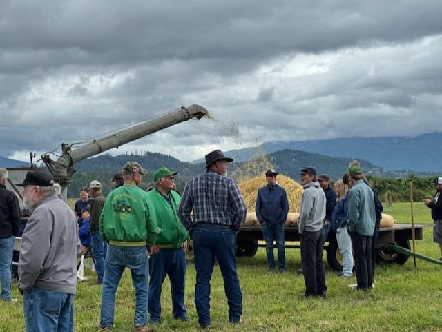 Threshing Bee in Skagit County August 2025
