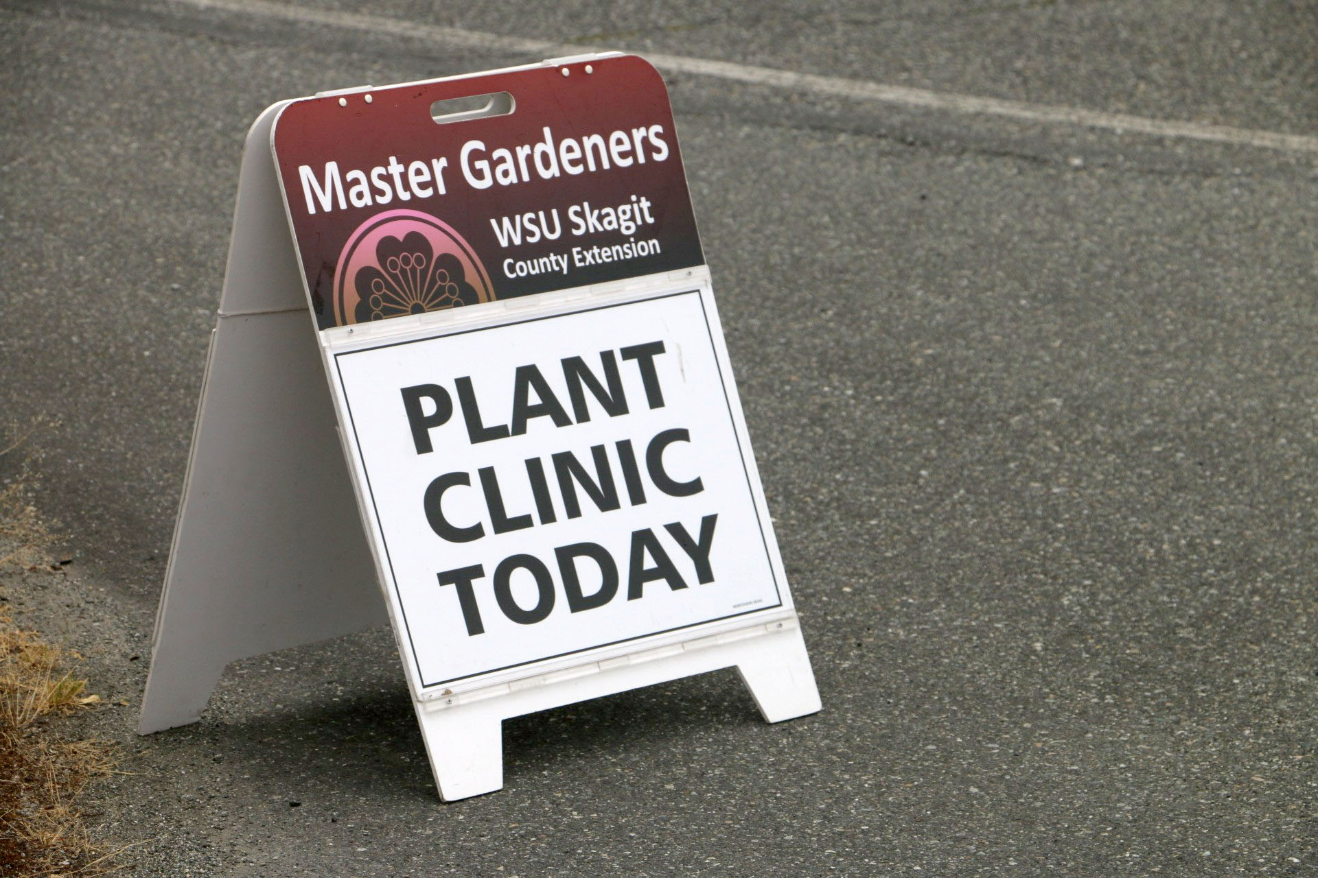 WSU Skagit Master Gardener Plant Clinic Today Sign