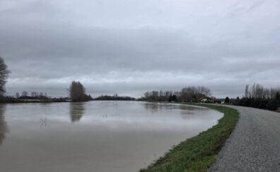 Skagit River at Fir Island December 14, 2025