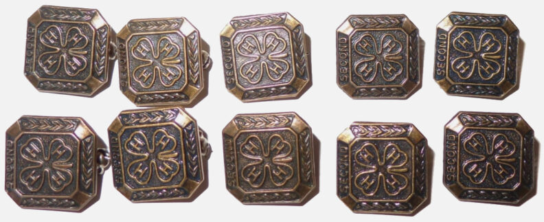 Second year 4-H Pins