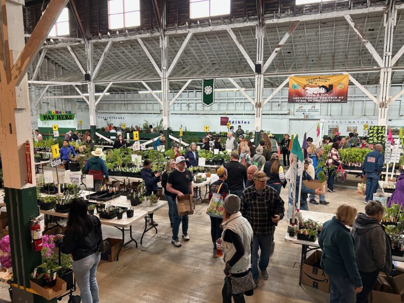 Attendees walking into the Skagit Master Gardeners Annual Plat Fare at the Skagit County Fair Grounds