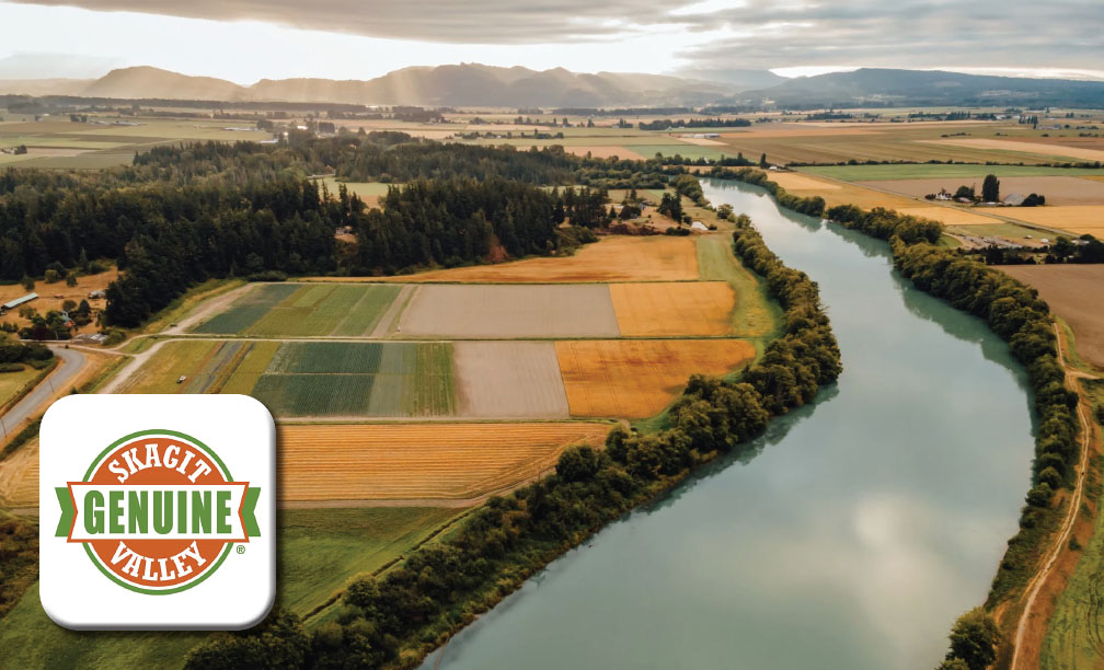 Genuine Skagit Valley pastoral scene with meandering river