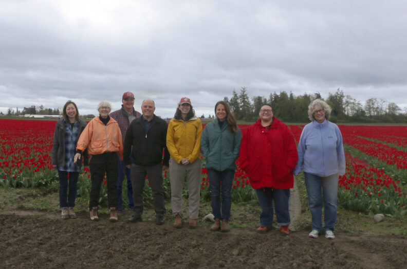 Skagit County Extension Staff standing in a spring-time tulip field