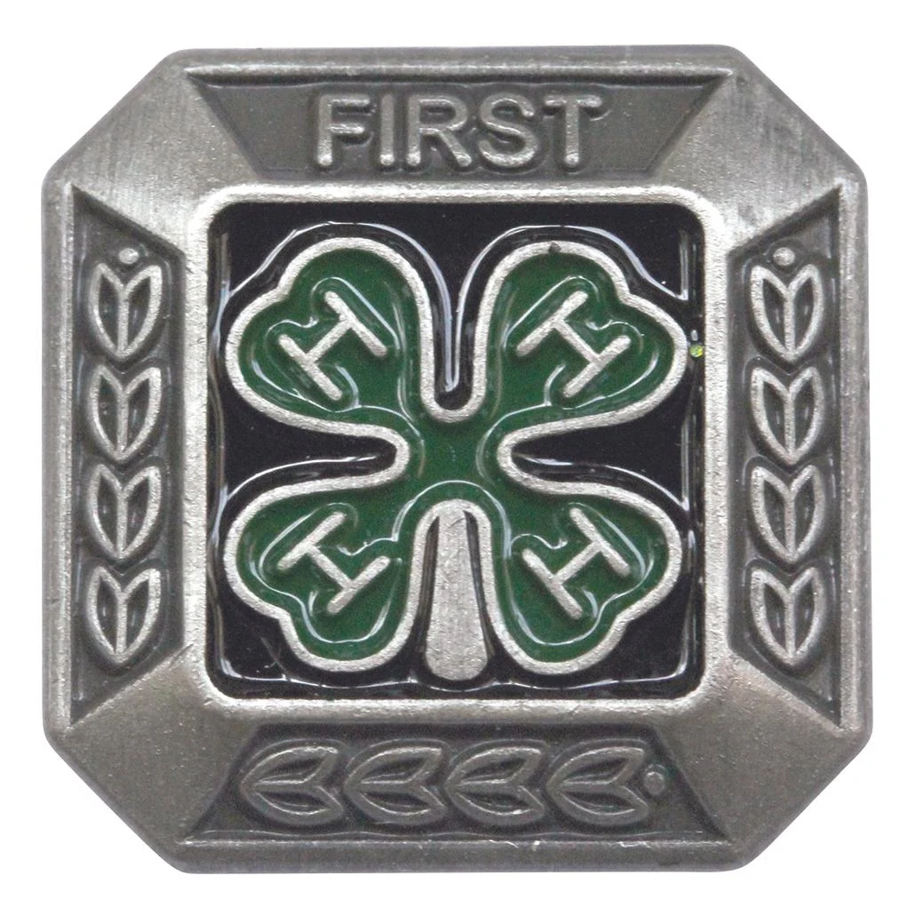 4-h member pin