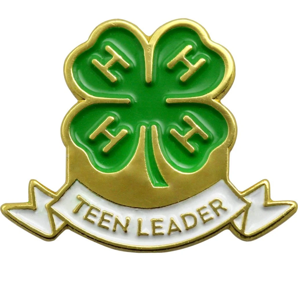 4-h teen leader pin