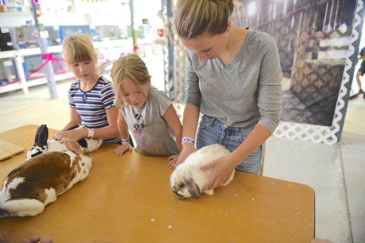 Two kids and a mom with cavy at the fair