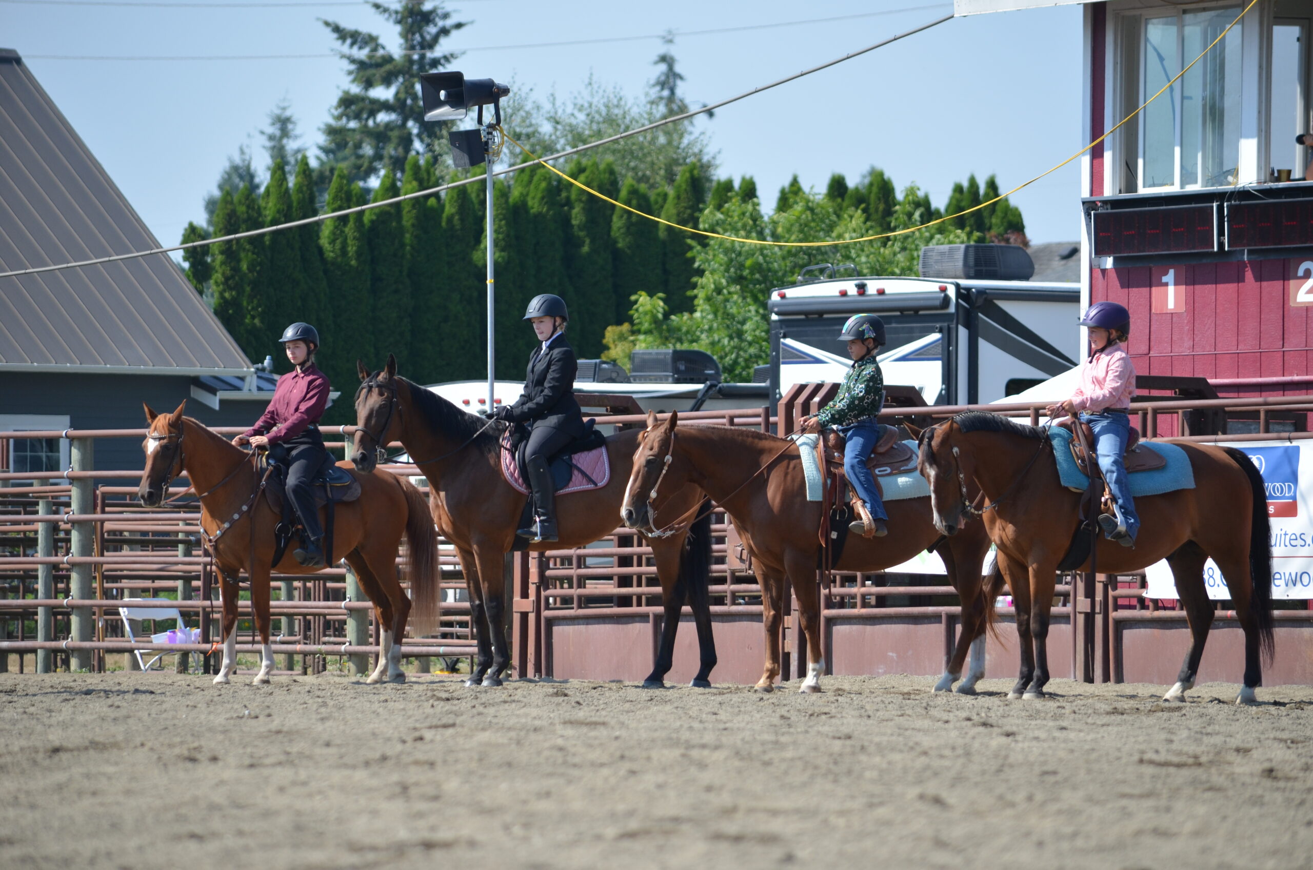 4-h horse members showing their horses at fair