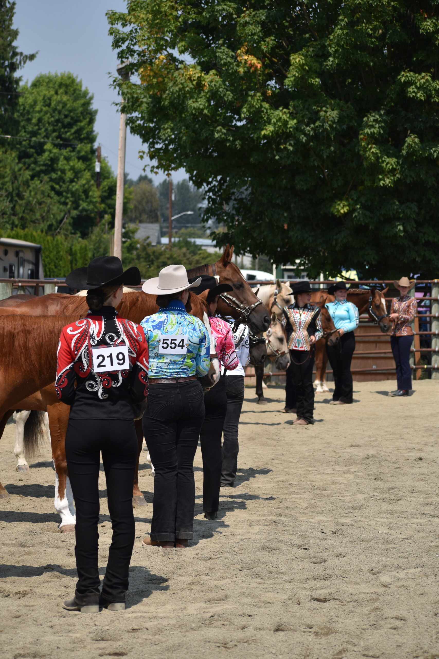 4-h horse members showing their horses at fair