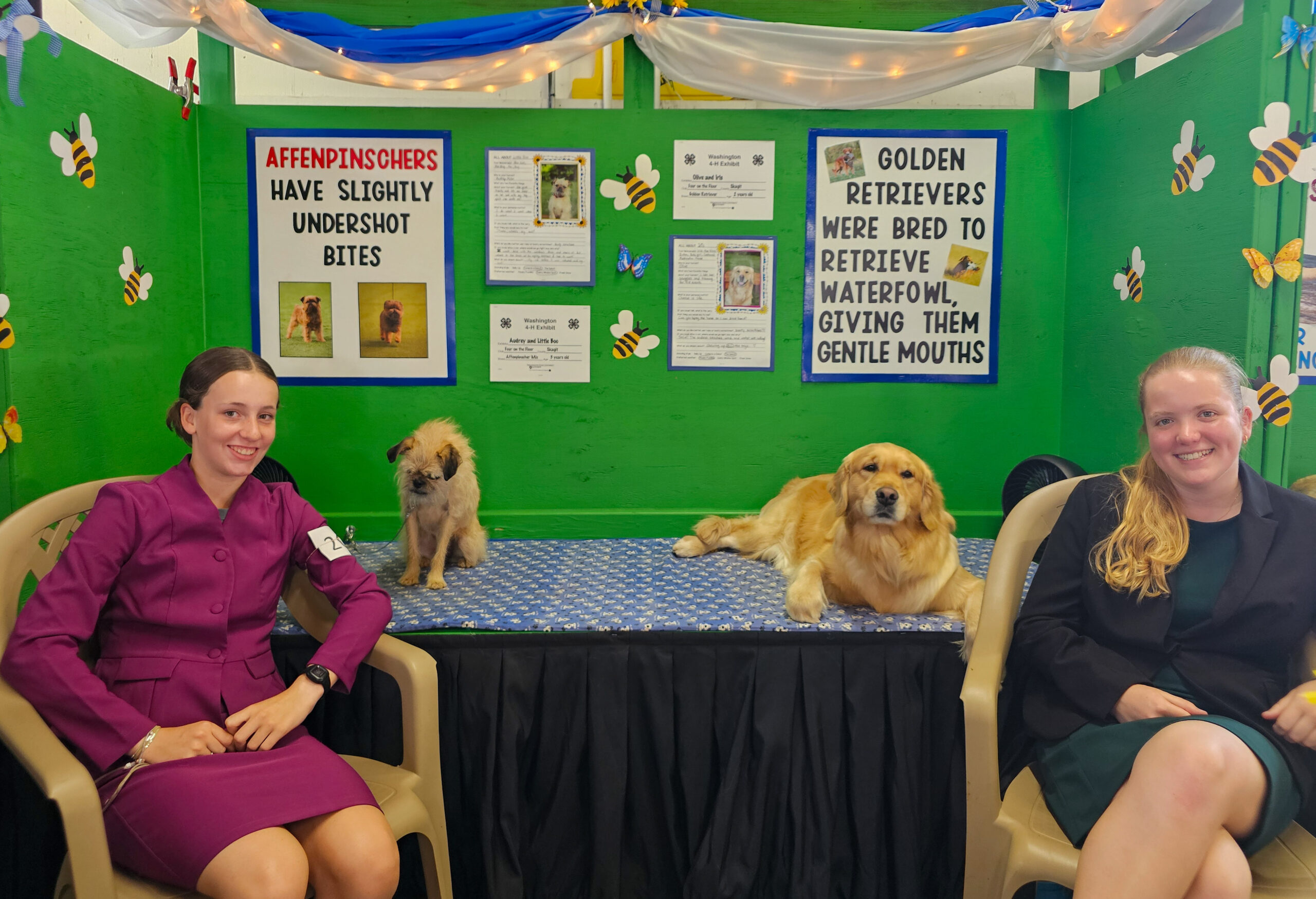 4-h dog members posing with their dogs