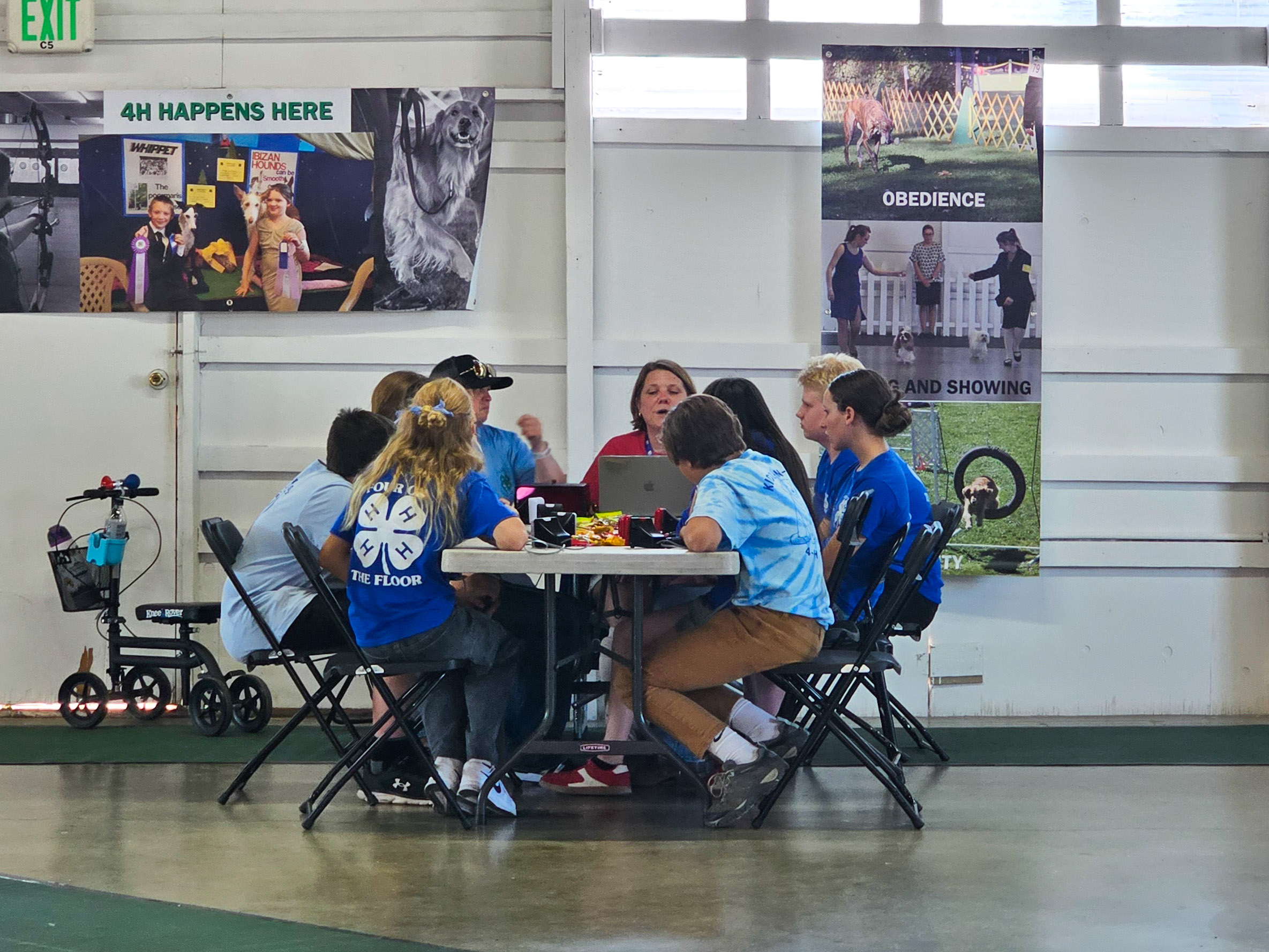 4-h dog members participating in dog bowl