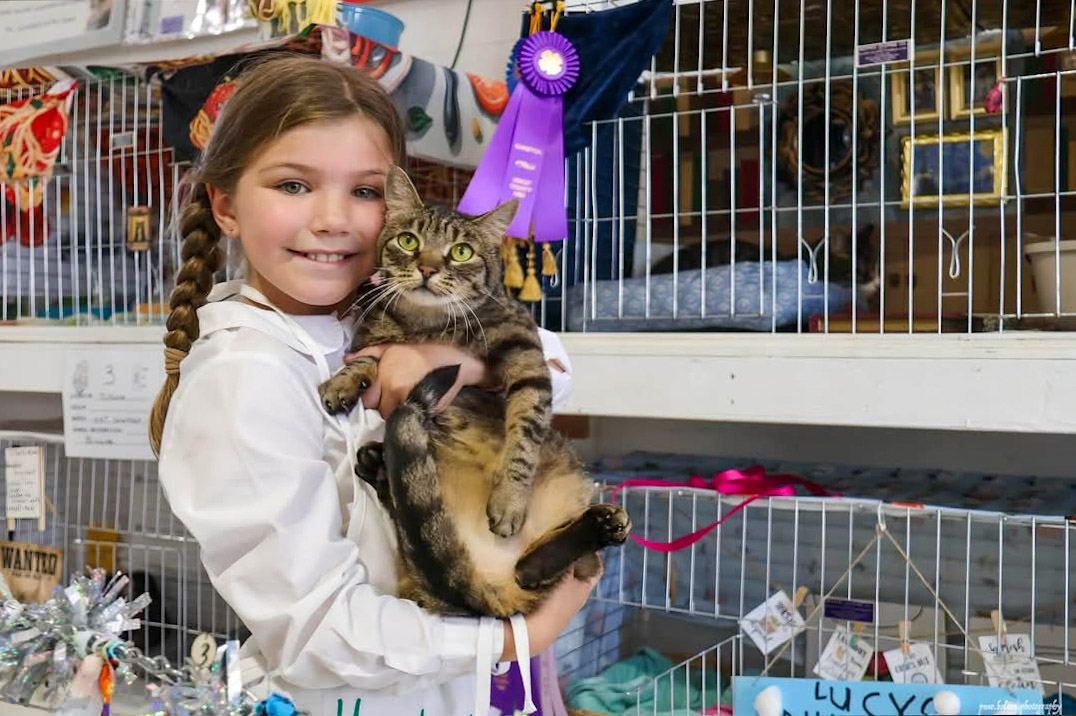 4-h member holding her cat
