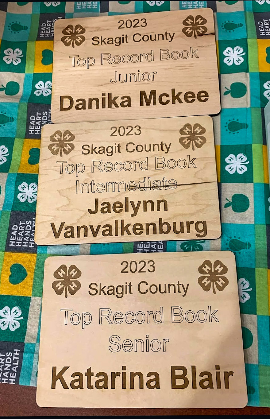 4-H awards for Record Books