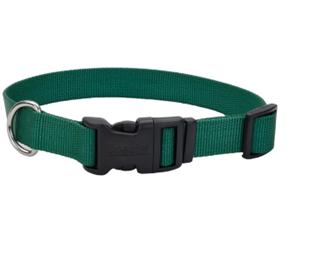 Flat, nylon webbed, buckle collar for benching your dog at fair.