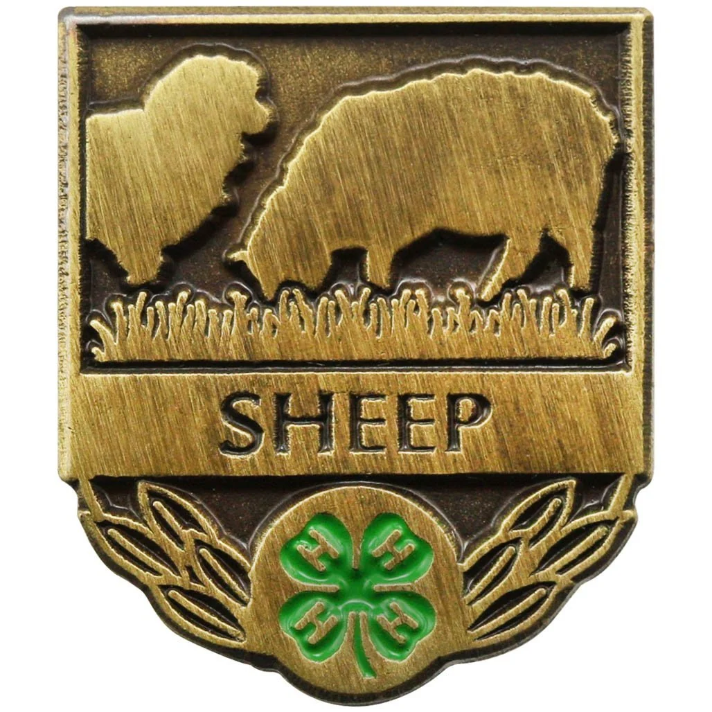 4-h sheep gold medal pin