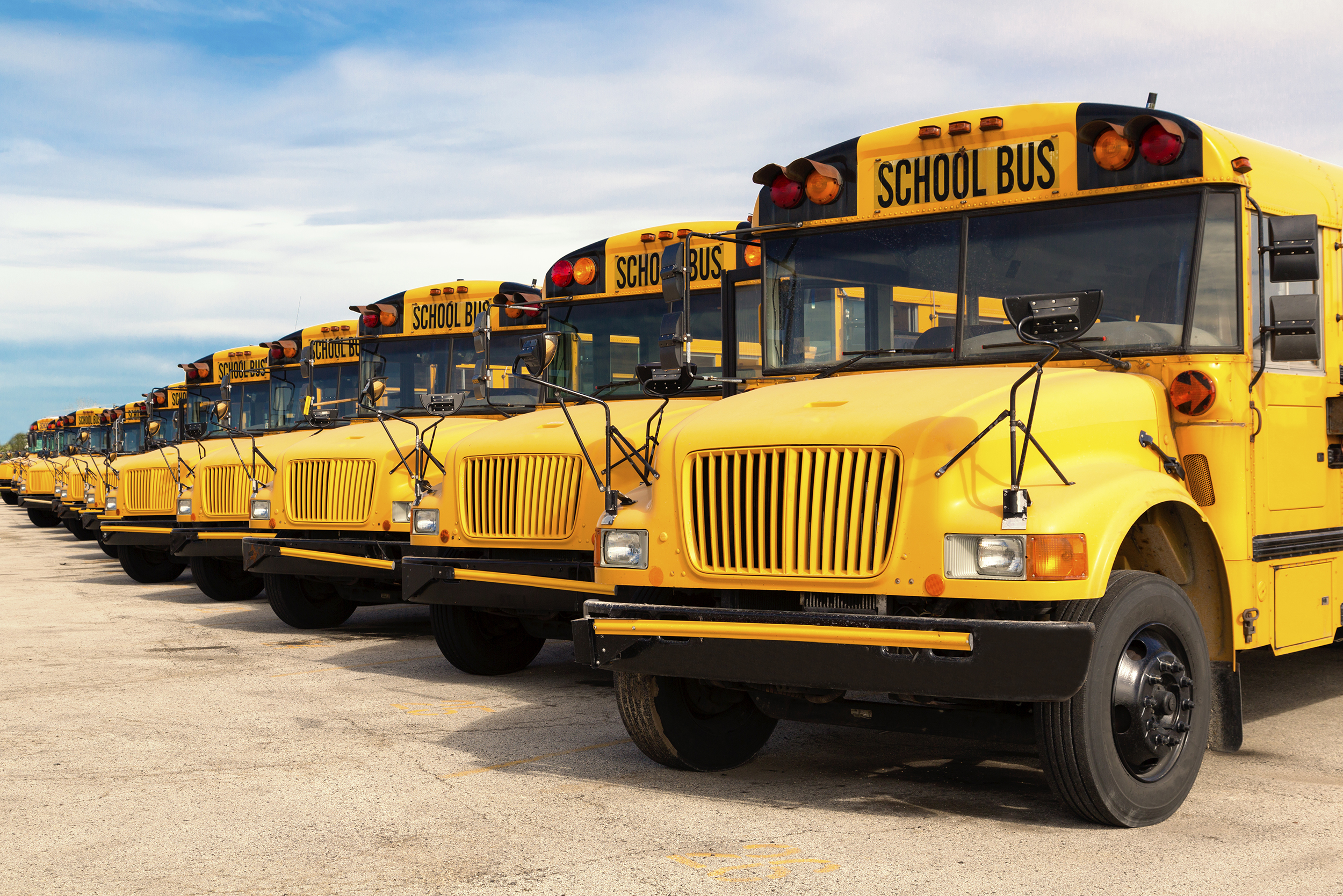 Row of multiple yellow school buses.