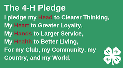 4-H pledge with head, heart, hands, and health