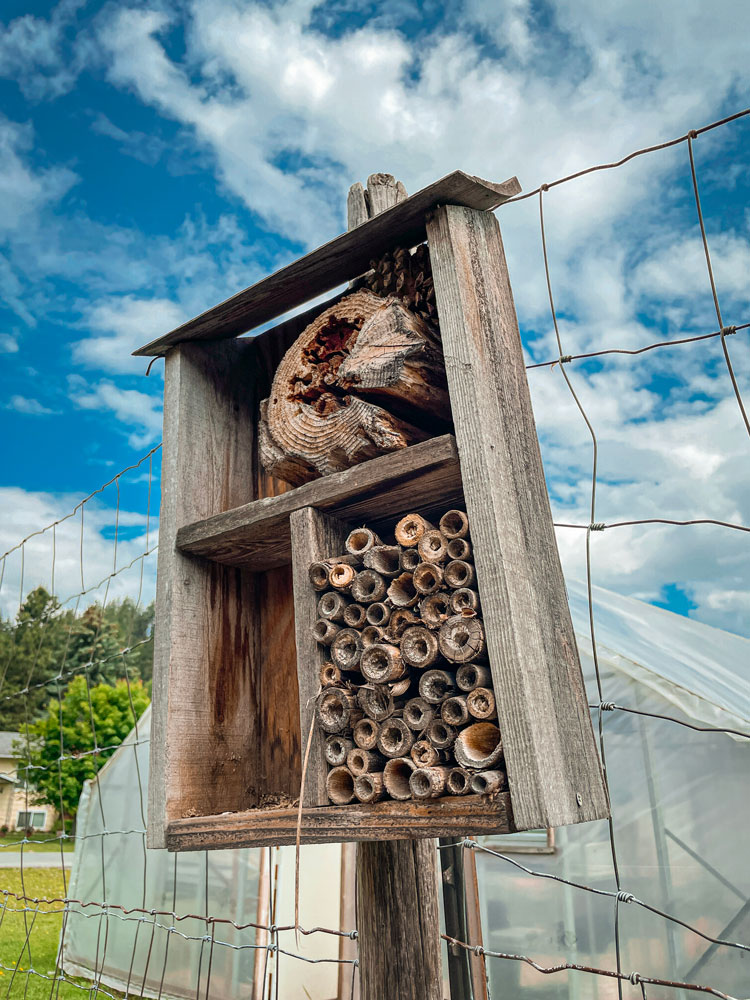 Bee House in WSU Demo Garden, Newport WA