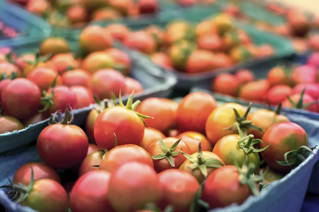 Cherry tomatoes in produce containers