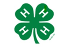 4-H Clover Logo
