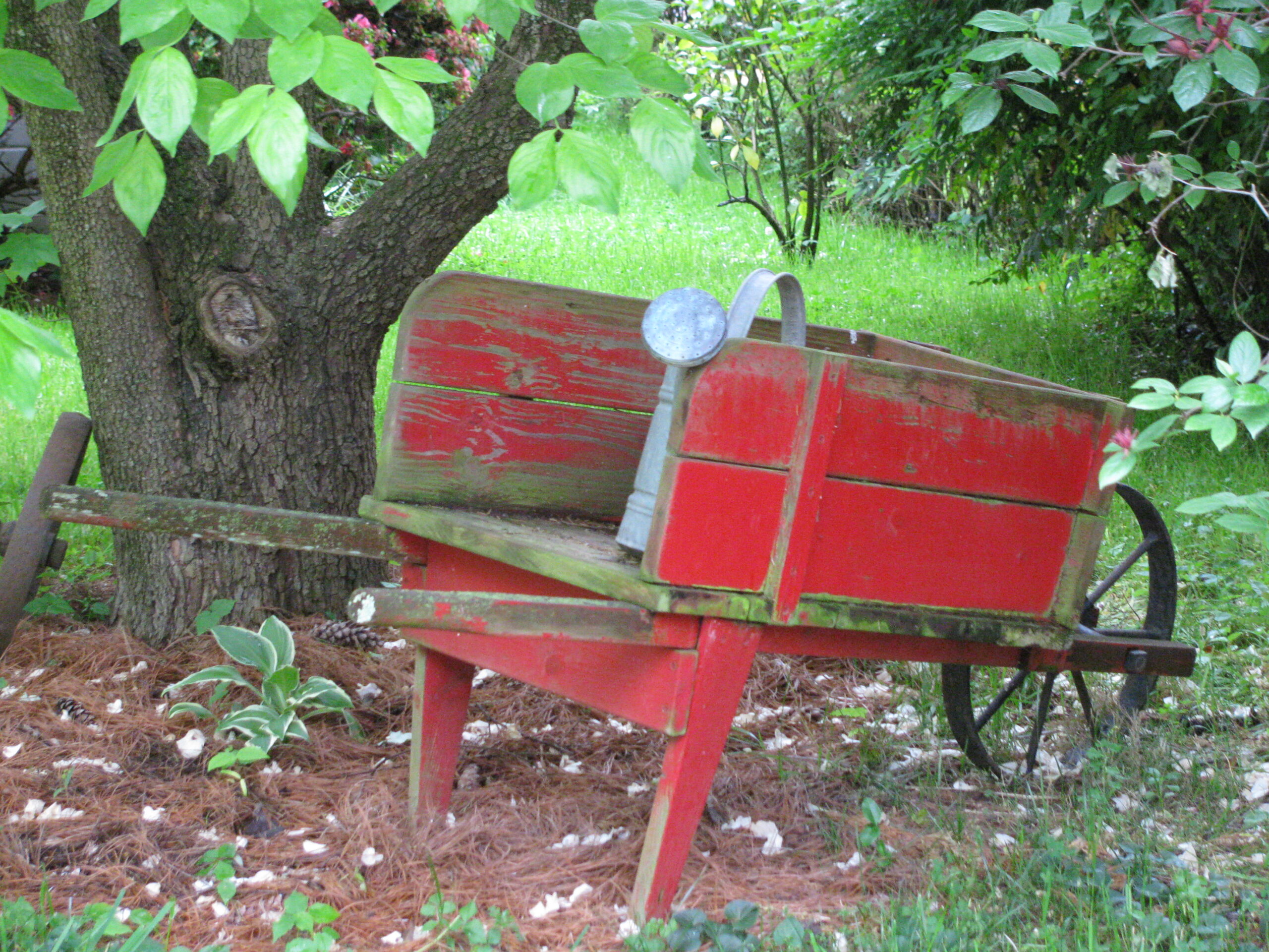 Old red wooden wheelbarrow and watering can