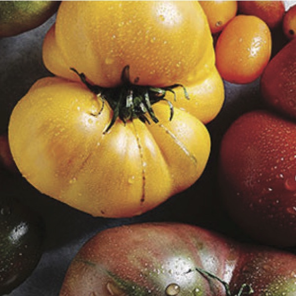 heirloom tomatoes close up