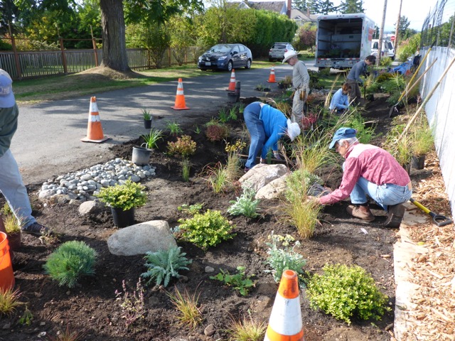 volunteers working in a rain garden