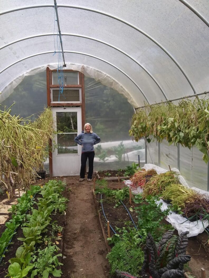 Photo of person and plants in hoop house
