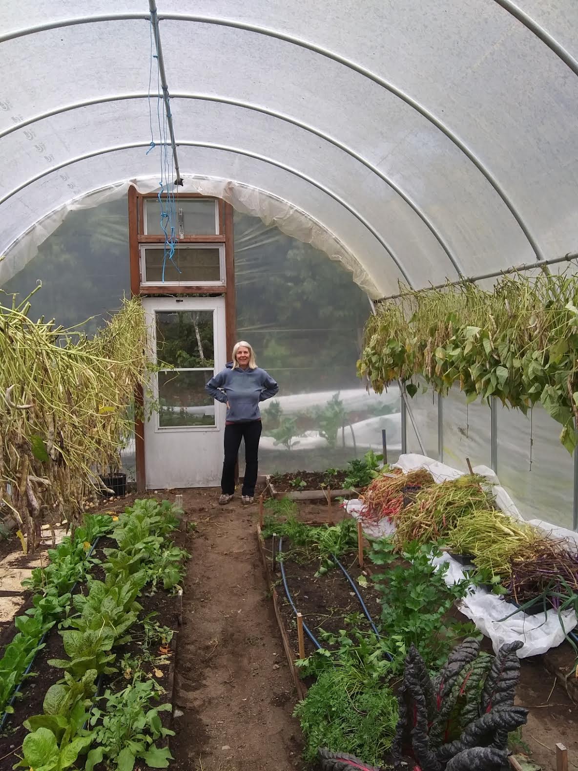 Photo of person and plants in hoop house