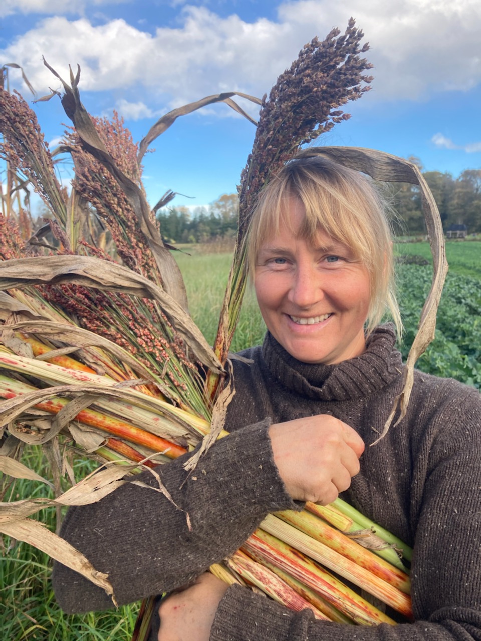 Woman holding stalks in field