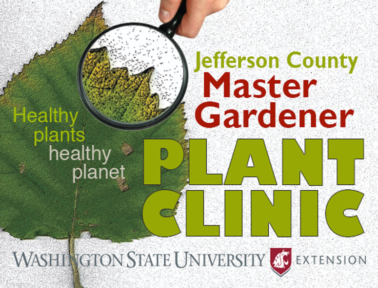 Jefferson County Master Gardener Plant Clinic.