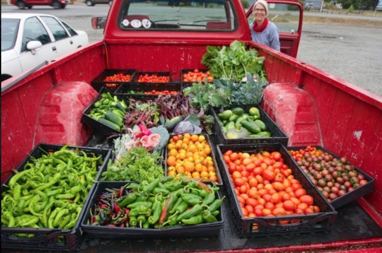 Truckload of crates of bright vegetables