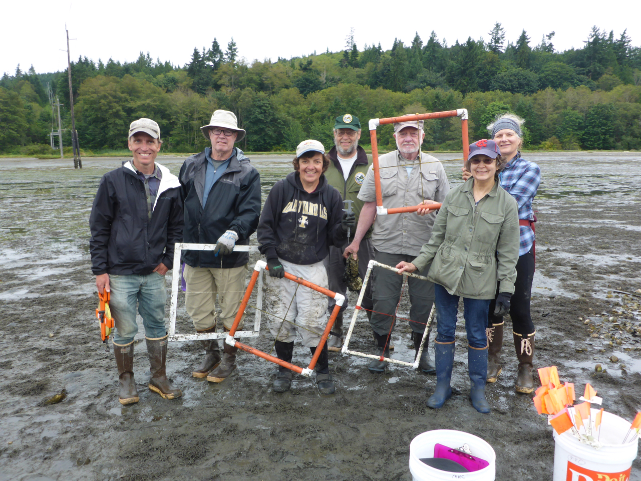 Oly monitoring in Powerline Site, Discovery Bay, transects & quadrats.