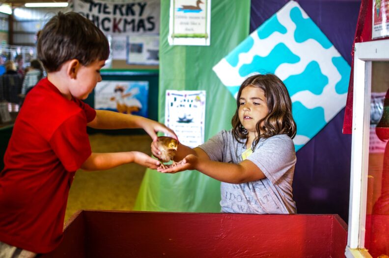two kids holding chick at fair