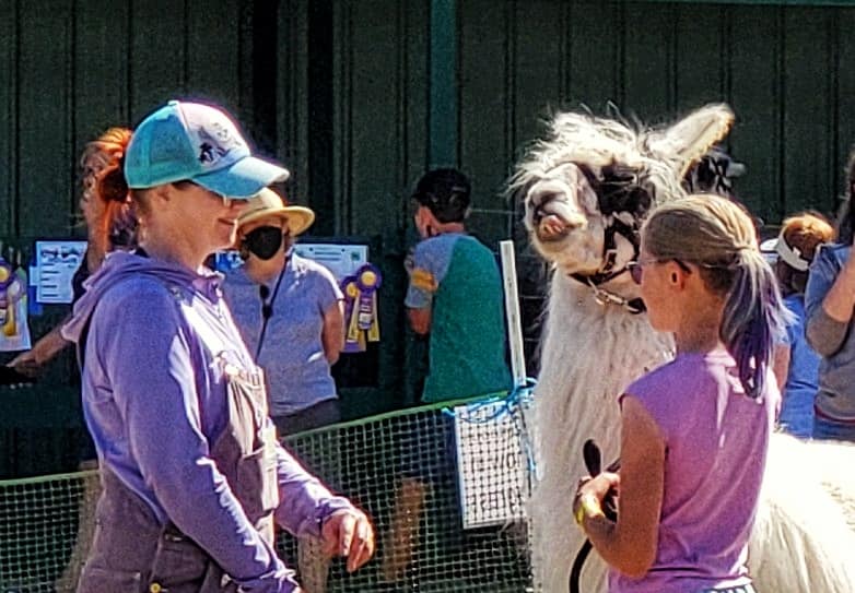 people with llama at fairgrounds