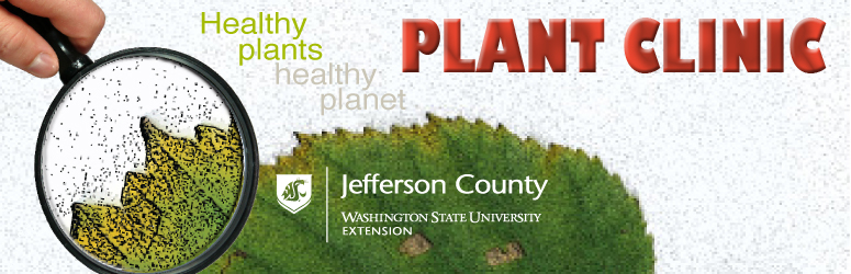 "ask a Master Gardener" logo with a leaf and magnifying glass