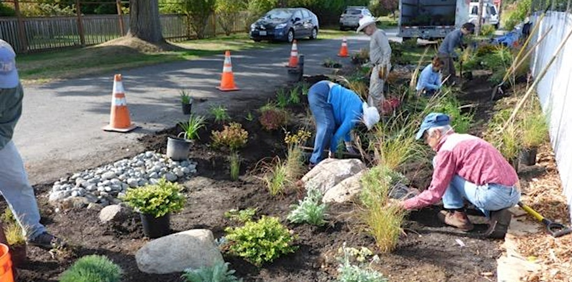 6 Volunteers maintaining a raingarden.