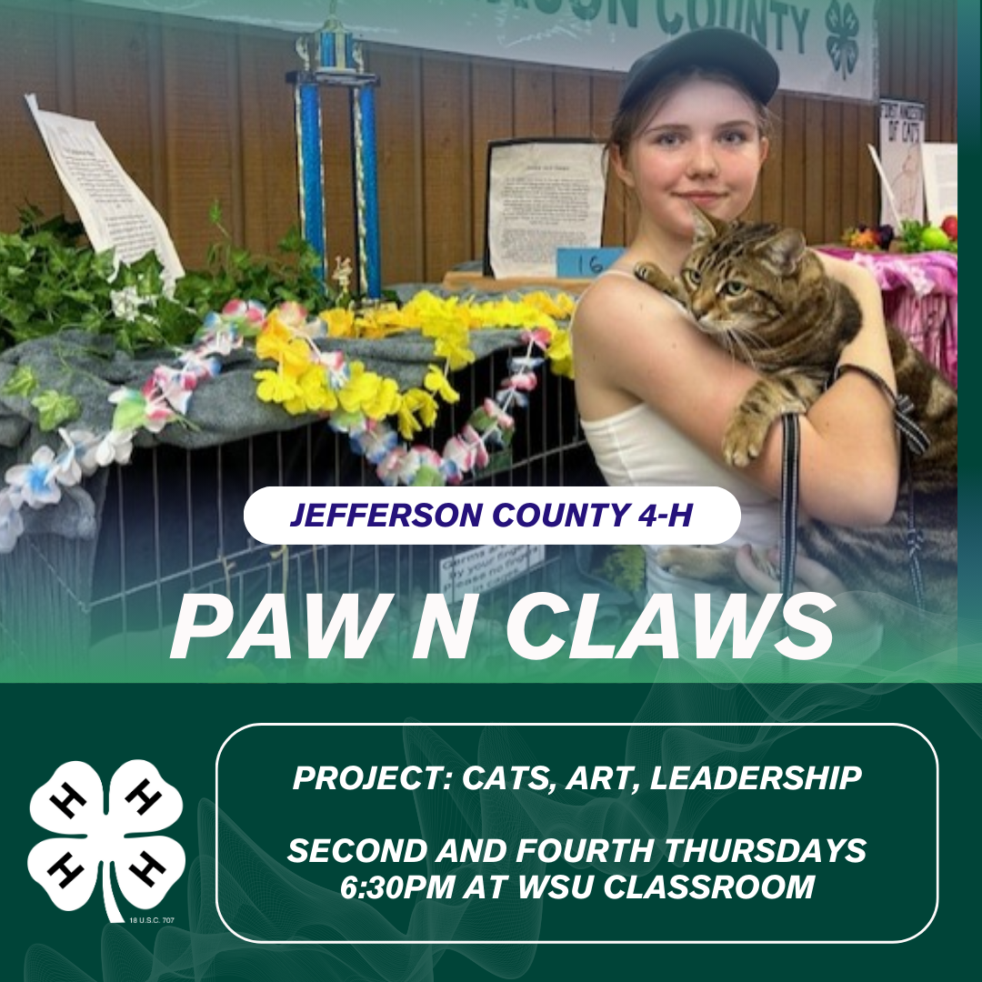 Paws-n-claws website. 